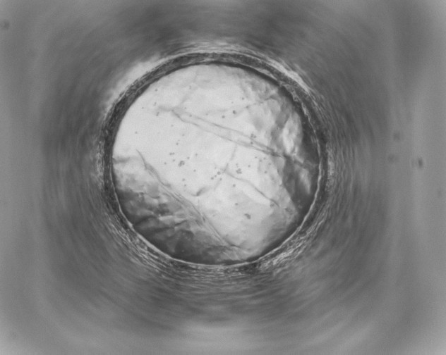 X0000059801311200511111551