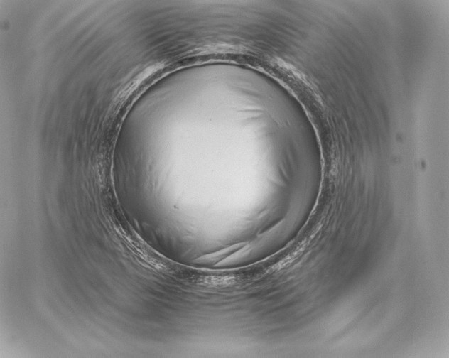 X0000059801313200511111551