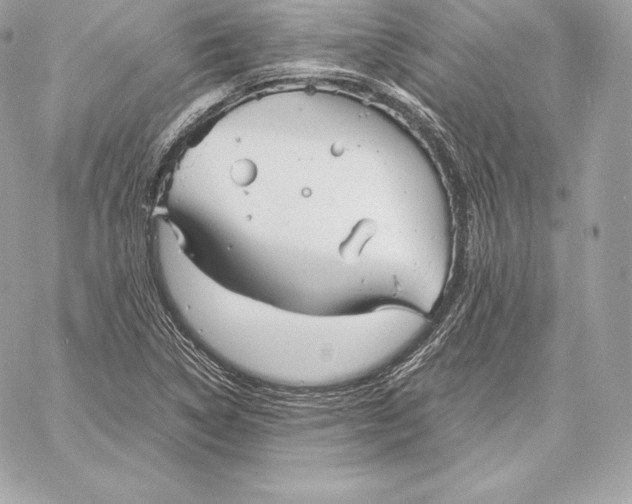 X0000059801314200511111551