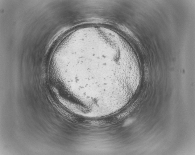 X0000059801318200511111551