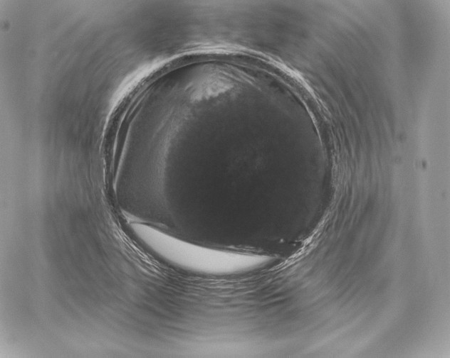 X0000059801319200511111551