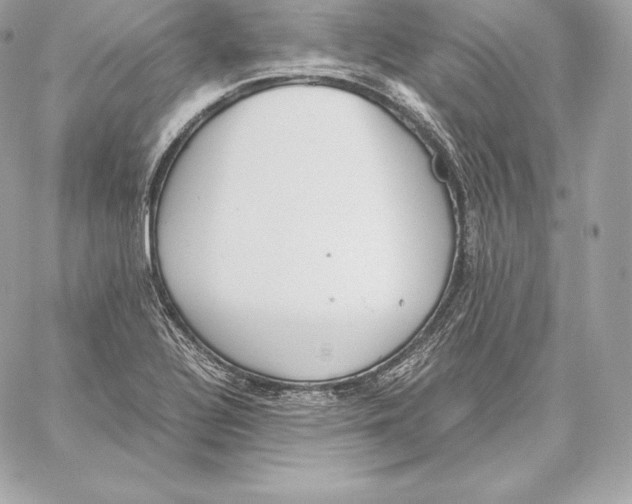 X0000059801320200511111551