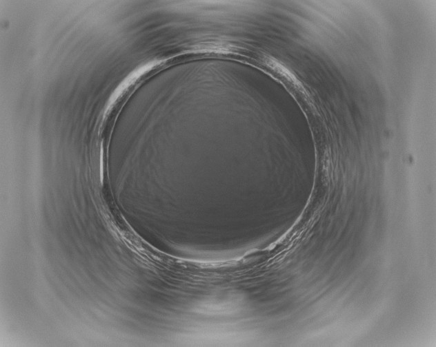 X0000059801323200511111551