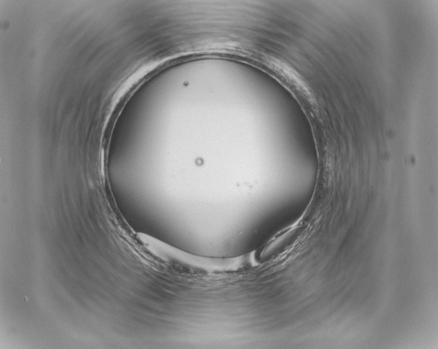 X0000059801324200511111551