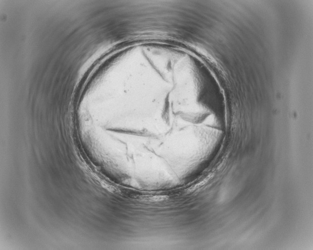 X0000059801325200511111551