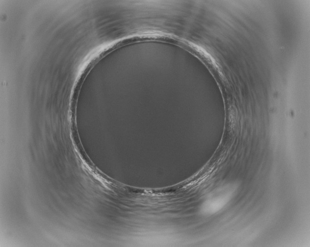 X0000059801327200511111551