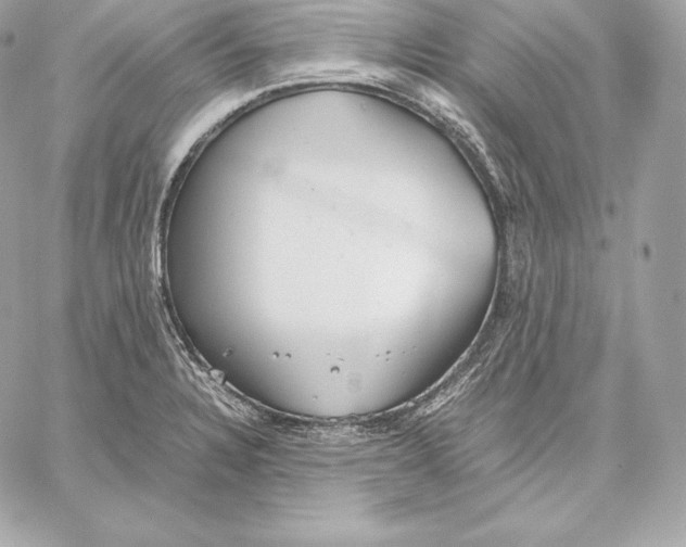 X0000059801328200511111551