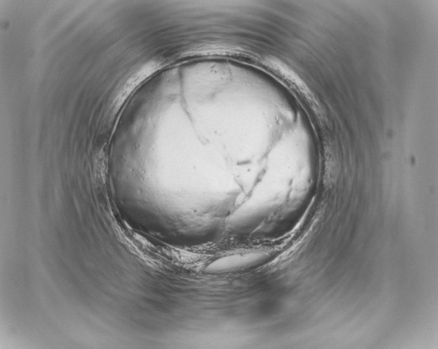 X0000059801329200511111551