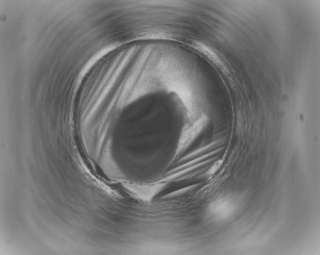 X0000059801331200511111551