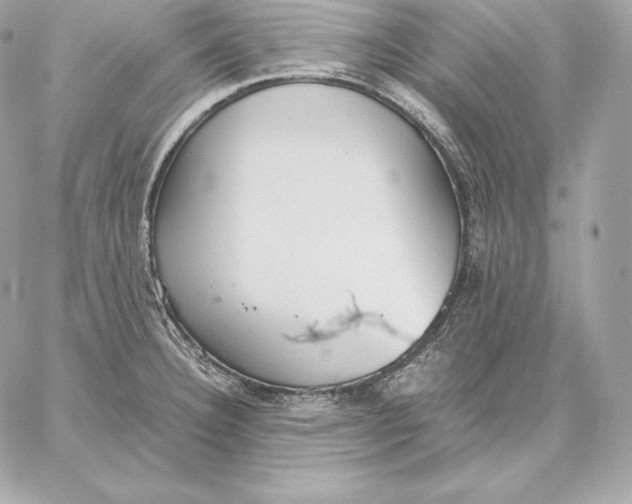 X0000059801332200511111551