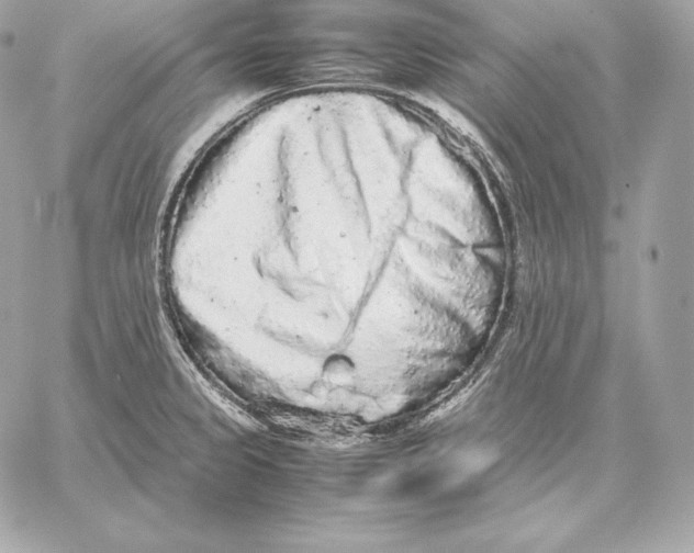 X0000059801333200511111551