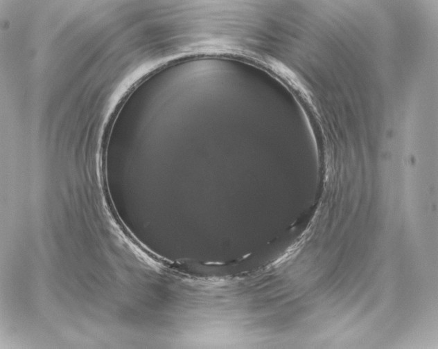 X0000059801334200511111551