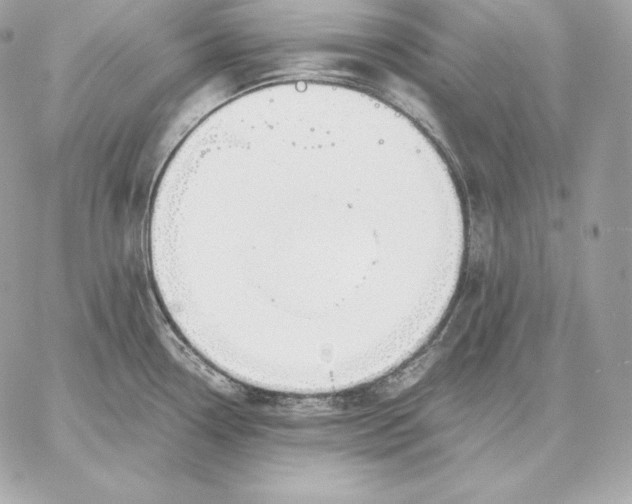 X0000059801338200511111551