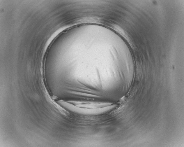 X0000059801339200511111551