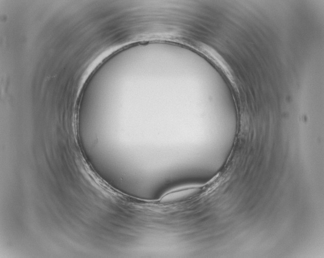 X0000059801340200511111551