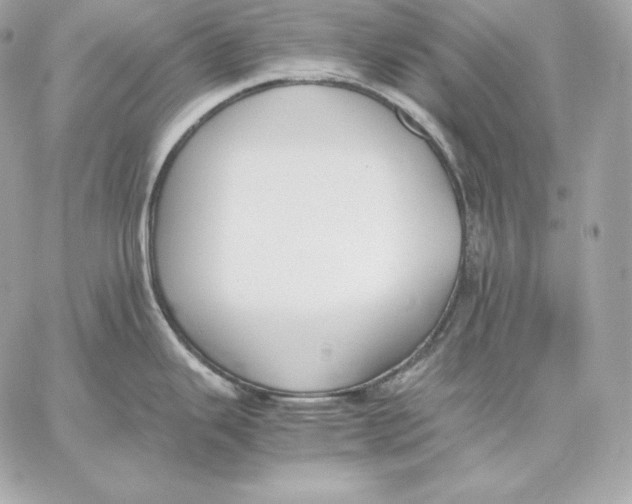 X0000059801343200511111551