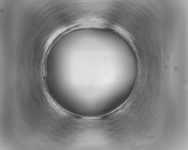 X0000059801344200511111551