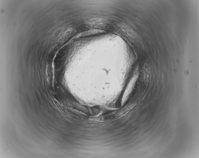 X0000059801346200511111550