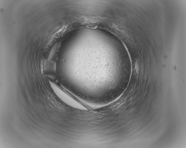 X0000059801348200511111550