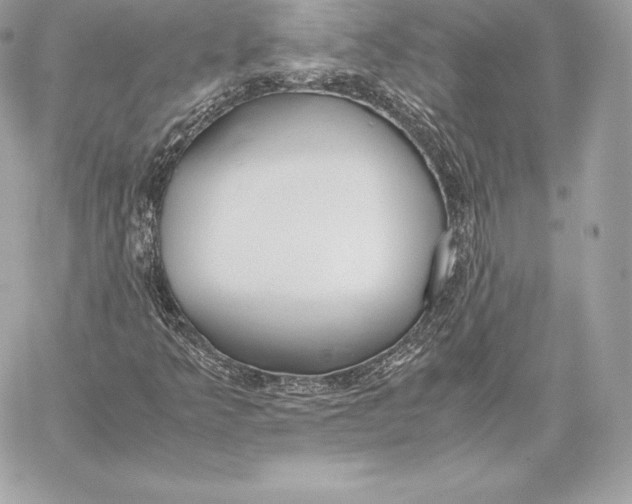 X0000059801349200511111550