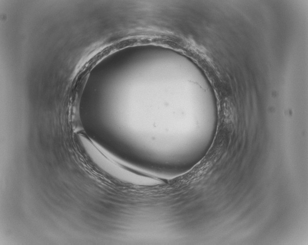 X0000059801352200511111550