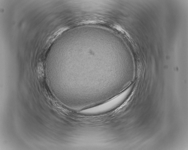 X0000059801353200511111550