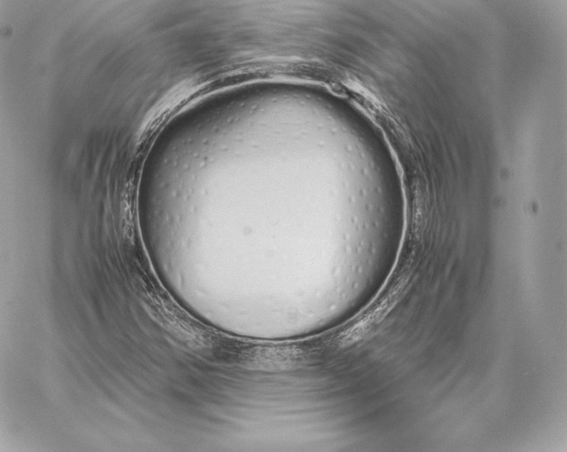 X0000059801354200511111550