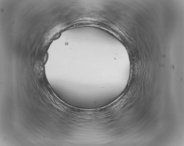 X0000059801355200511111550