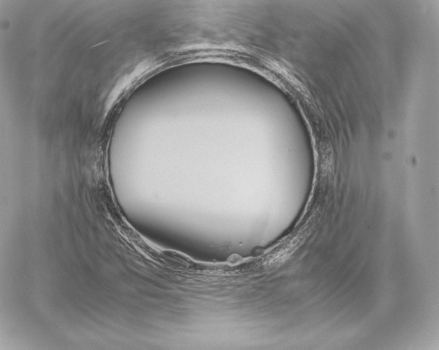 X0000059801357200511111550