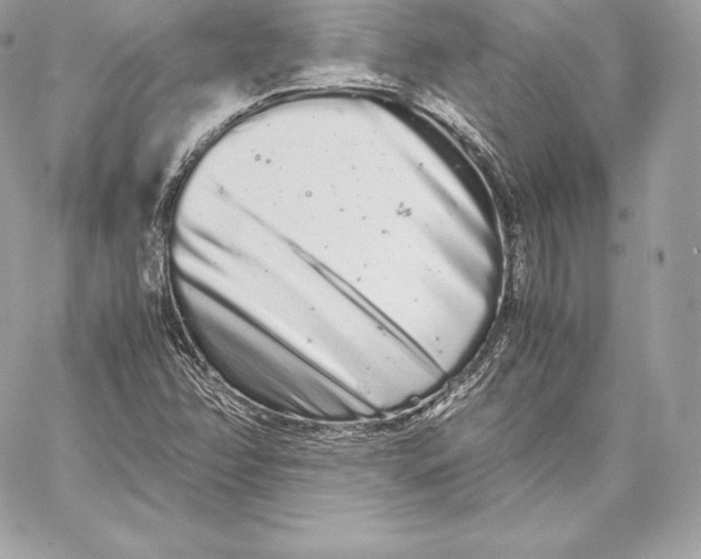 X0000059801358200511111550