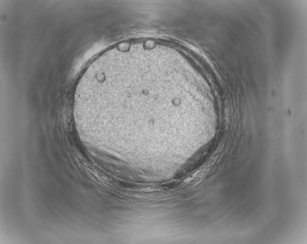 X0000059801359200511111550