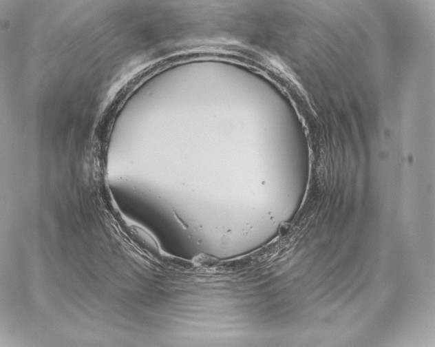 X0000059801360200511111550