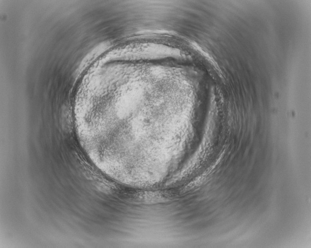 X0000059801362200511111550