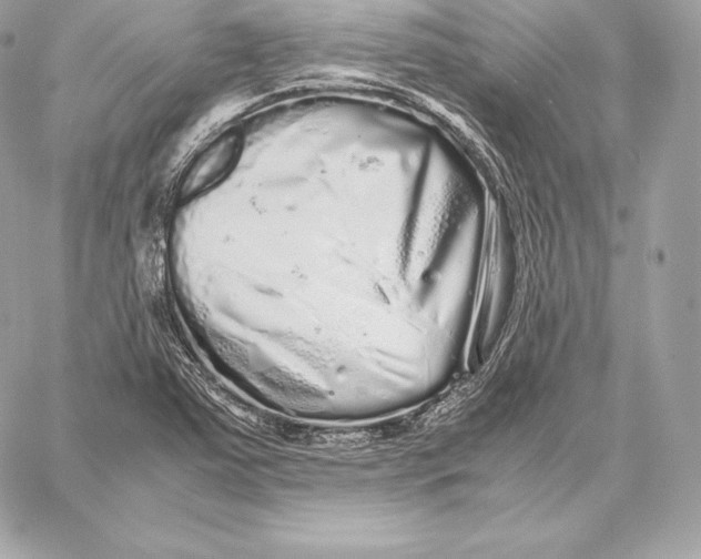 X0000059801363200511111550