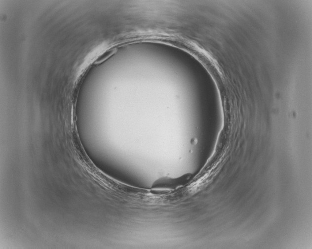 X0000059801365200511111550