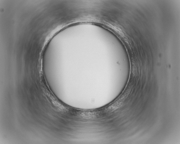 X0000059801366200511111550