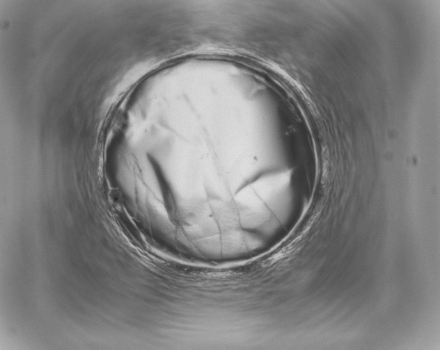 X0000059801367200511111550