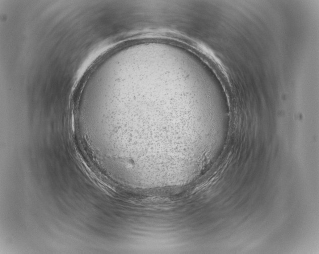 X0000059801368200511111550