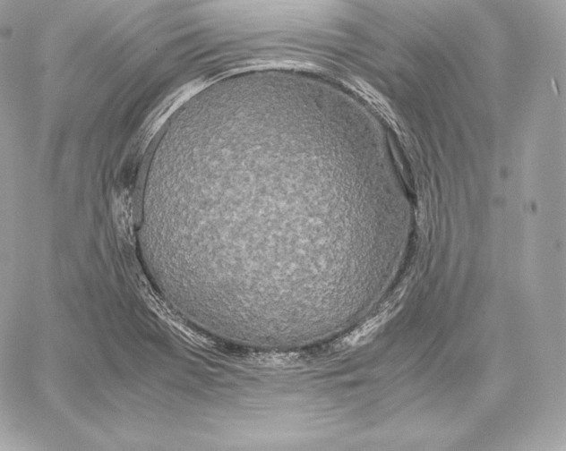 X0000059801369200511111550