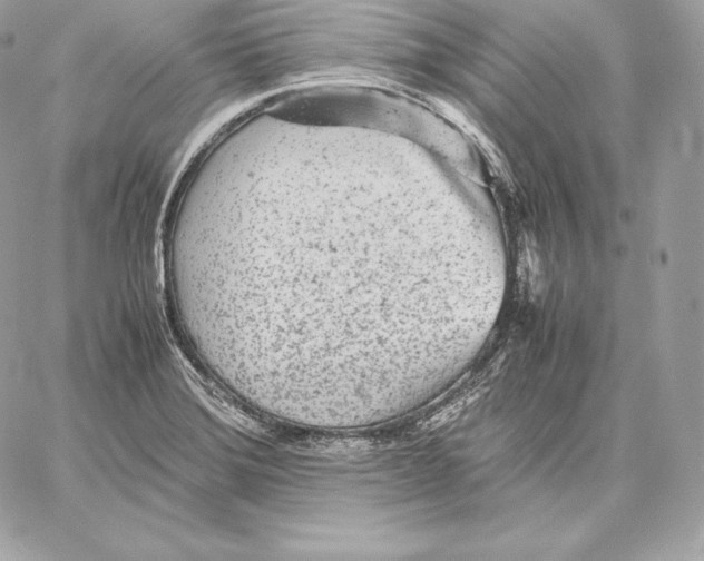 X0000059801372200511111550