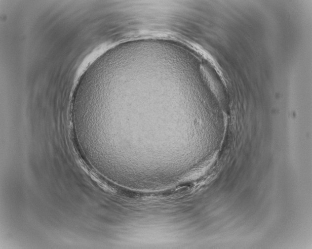 X0000059801373200511111550