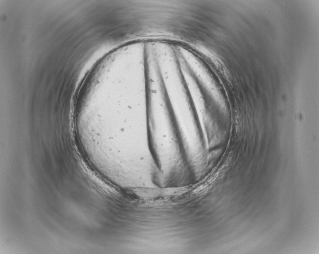 X0000059801374200511111550