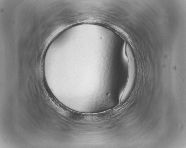 X0000059801375200511111550