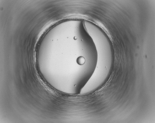 X0000059801376200511111550