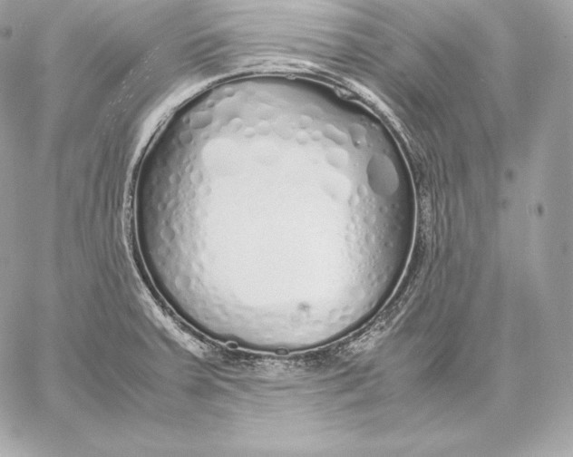 X0000059801379200511111550