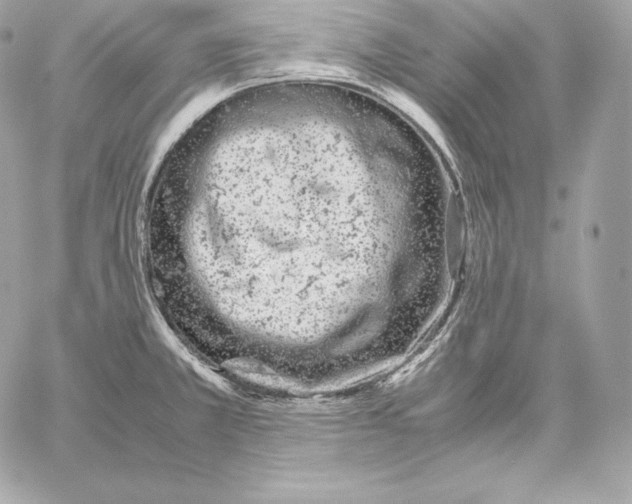 X0000059801381200511111550