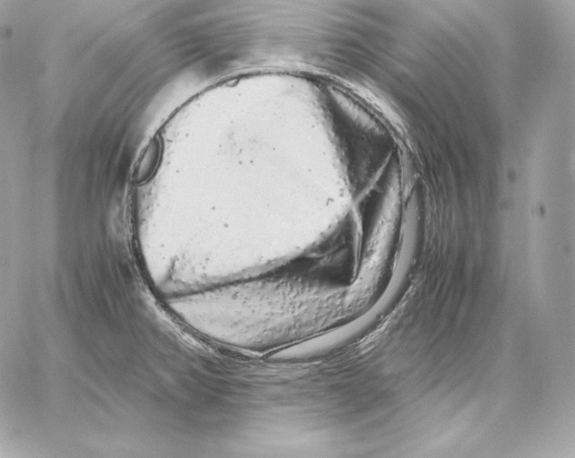 X0000059801382200511111550