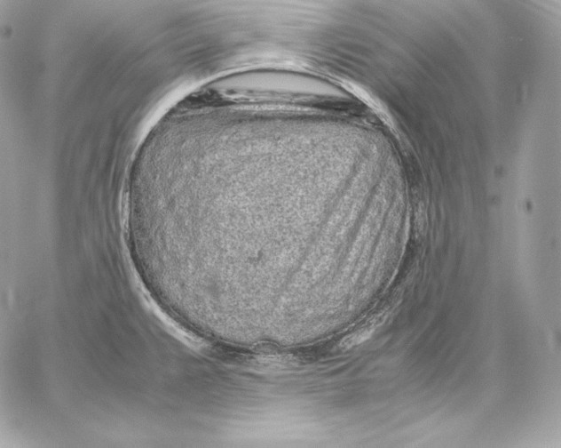 X0000059801383200511111550