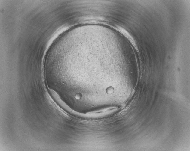 X0000059801384200511111550