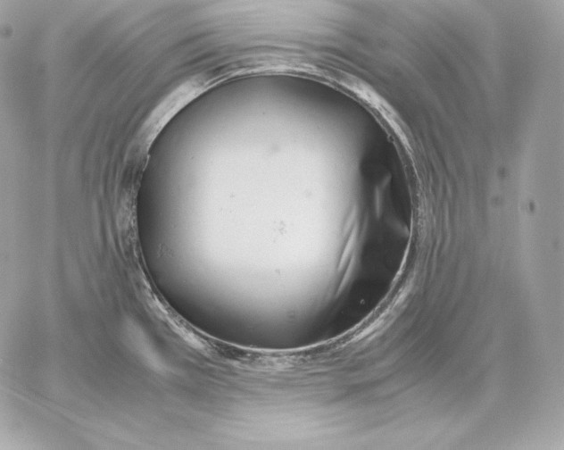 X0000059801385200511111550